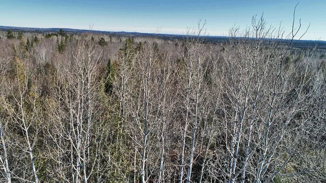 $39,500 | Lot 2-3 Us Rt 2a Road, Linneus, ME 04730