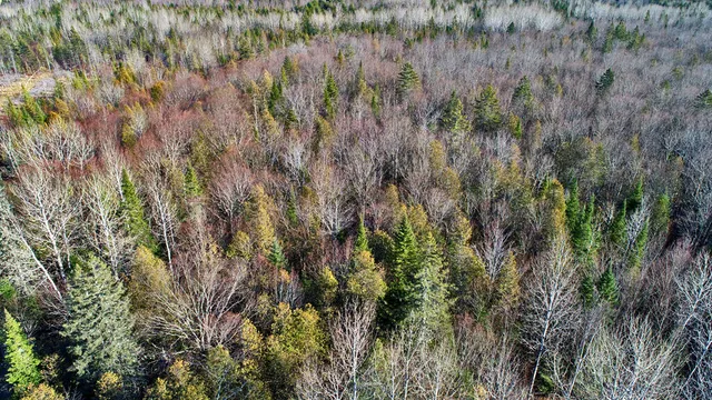 $39,500 | Lot 2-3 Us Rt 2a Road, Linneus, ME 04730