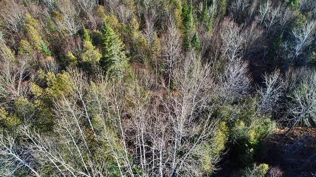 $39,500 | Lot 2-3 Us Rt 2a Road, Linneus, ME 04730