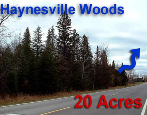 $39,500 | Lot 2-3 Us Rt 2a Road, Linneus, ME 04730