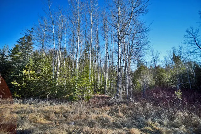 $39,500 | Lot 2-3 Us Rt 2a Road, Linneus, ME 04730