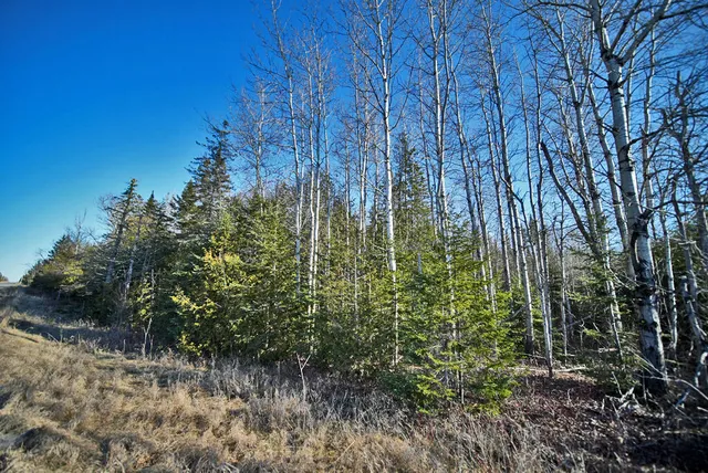$39,500 | Lot 2-3 Us Rt 2a Road, Linneus, ME 04730