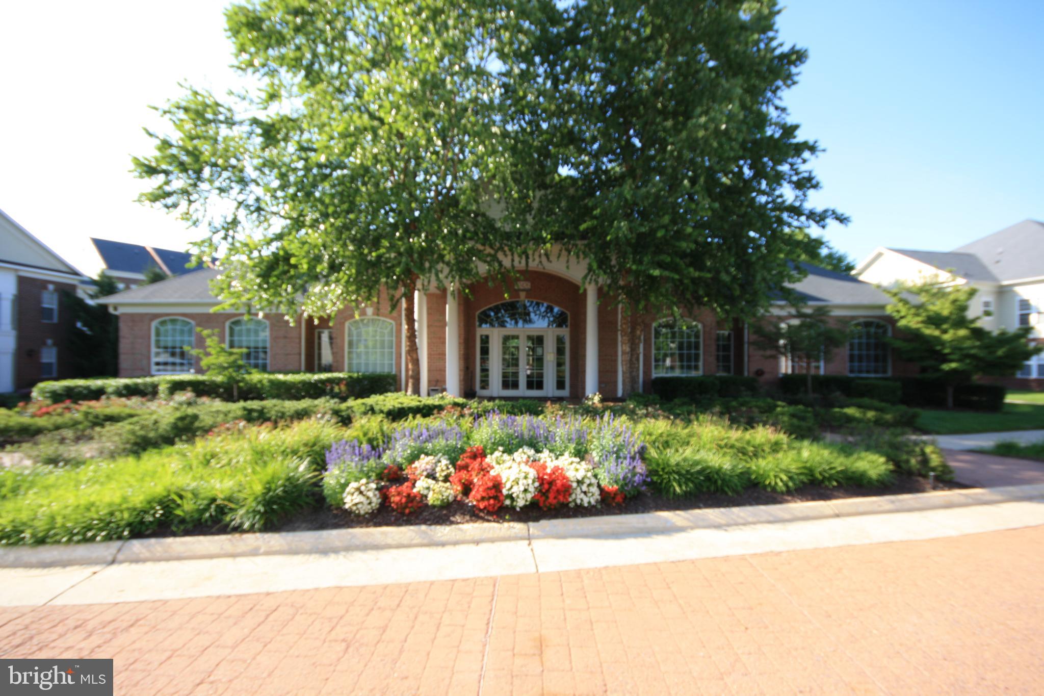 22691 Blue Elder Terrace, Unit 204 Brambleton, VA 20148 - Photo 26 of 45 front view of a house with a yard