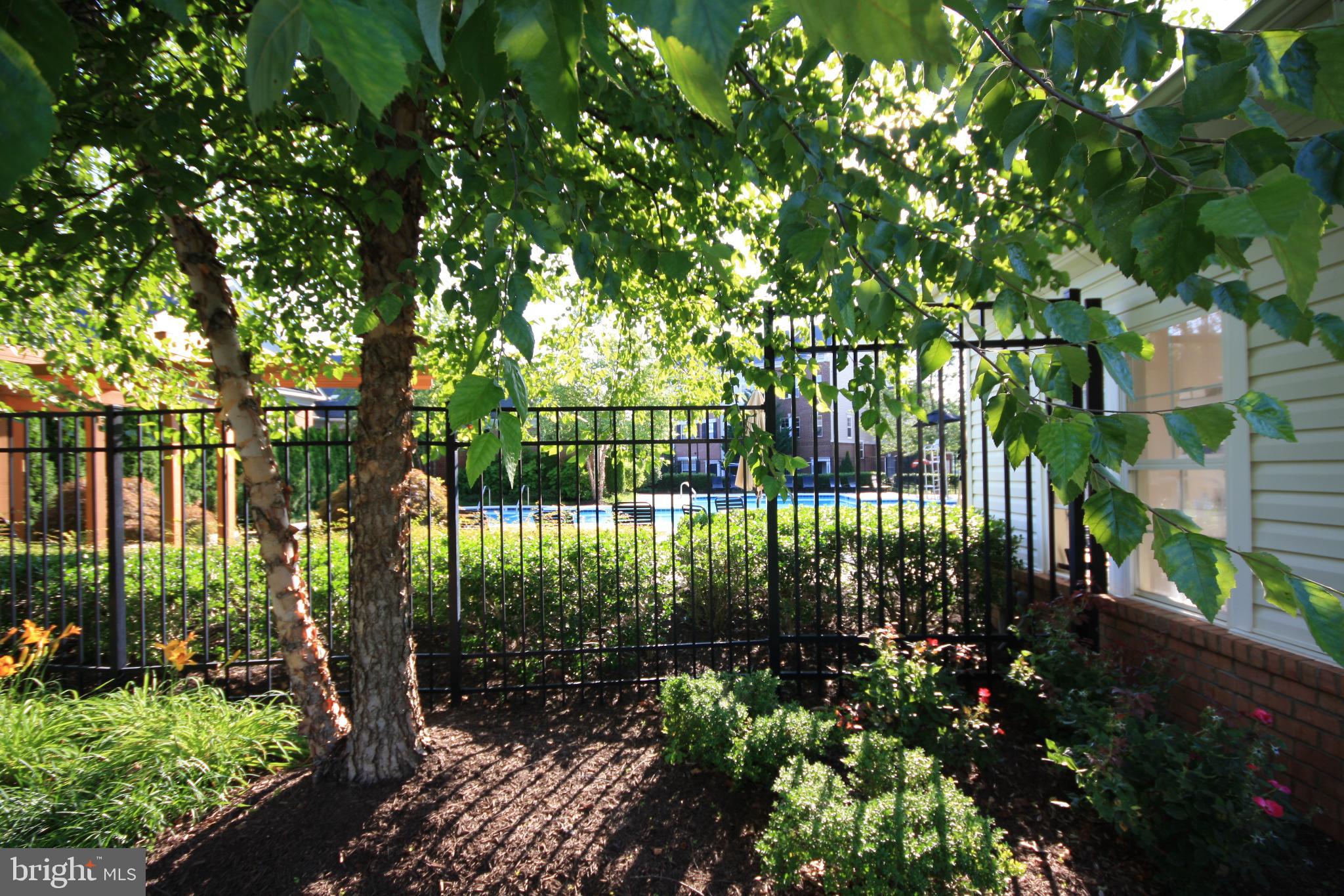 22691 Blue Elder Terrace, Unit 204 Brambleton, VA 20148 - Photo 27 of 45 a view of garden