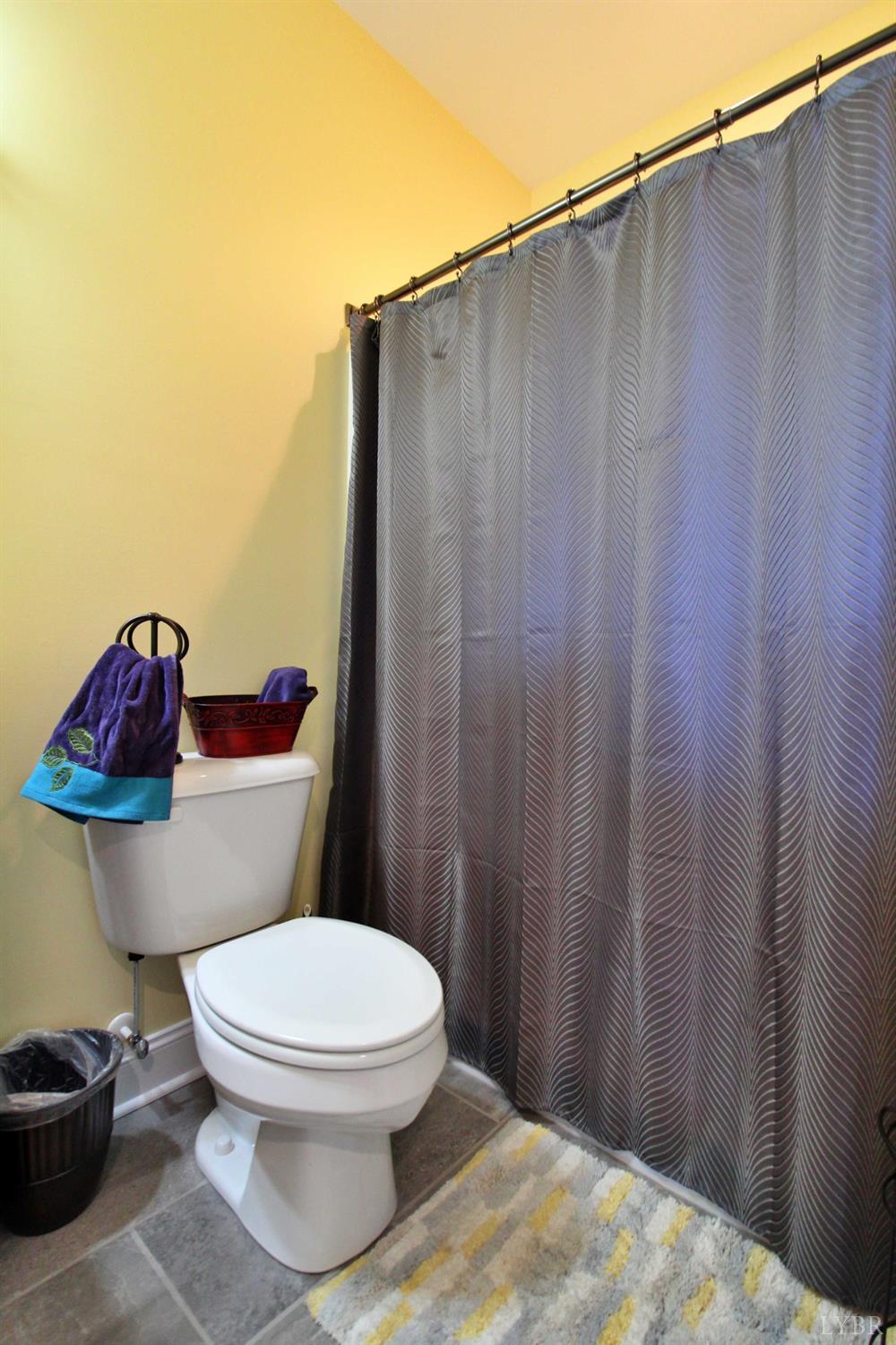 1253 Skyline Road Appomattox, VA 24522 - Photo 46 of 54 Gallery Image 46