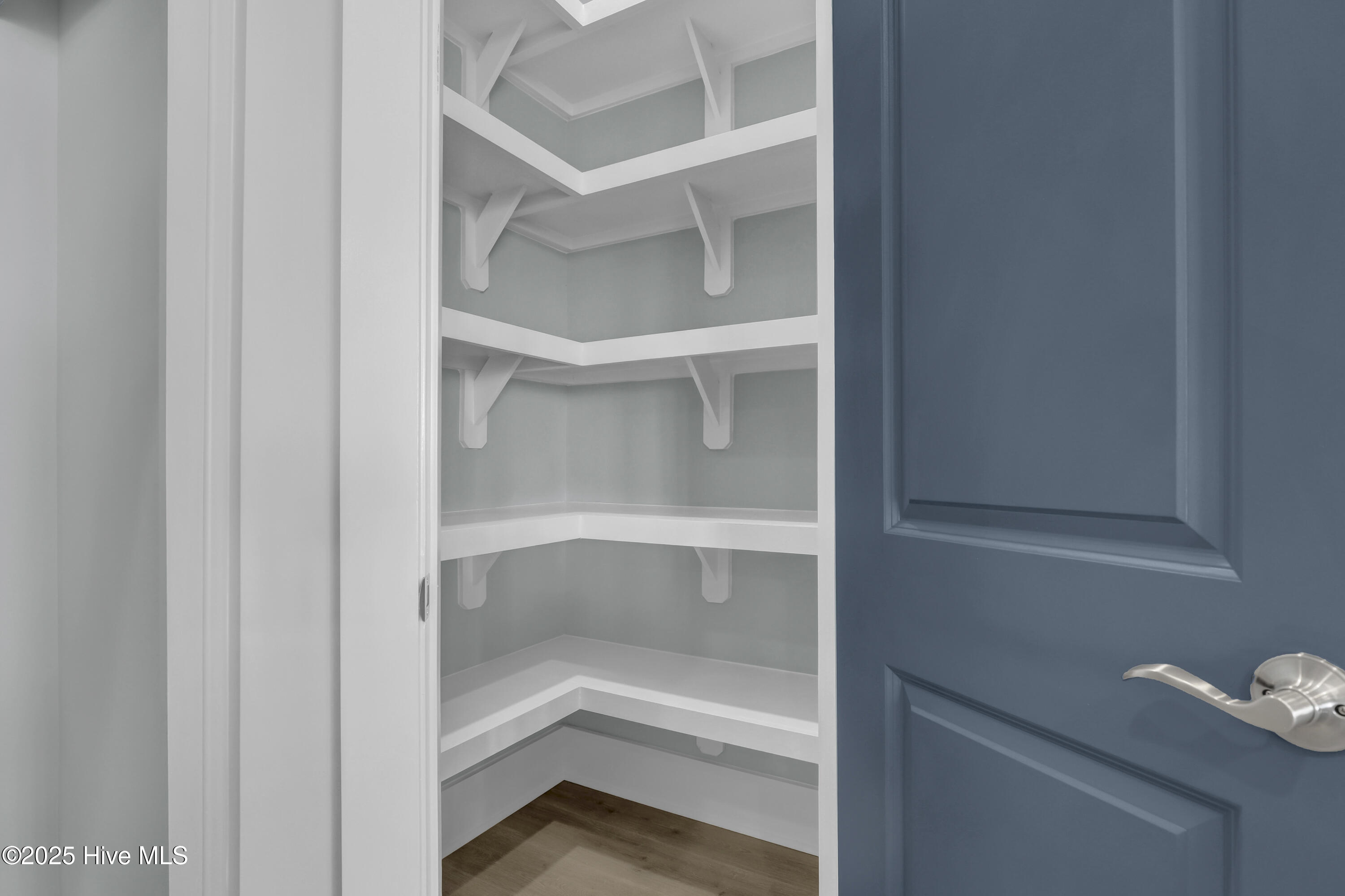 813 Sweetgrass Street Holly Ridge, NC 28445 - Photo 35 of 87 Love this pantry!