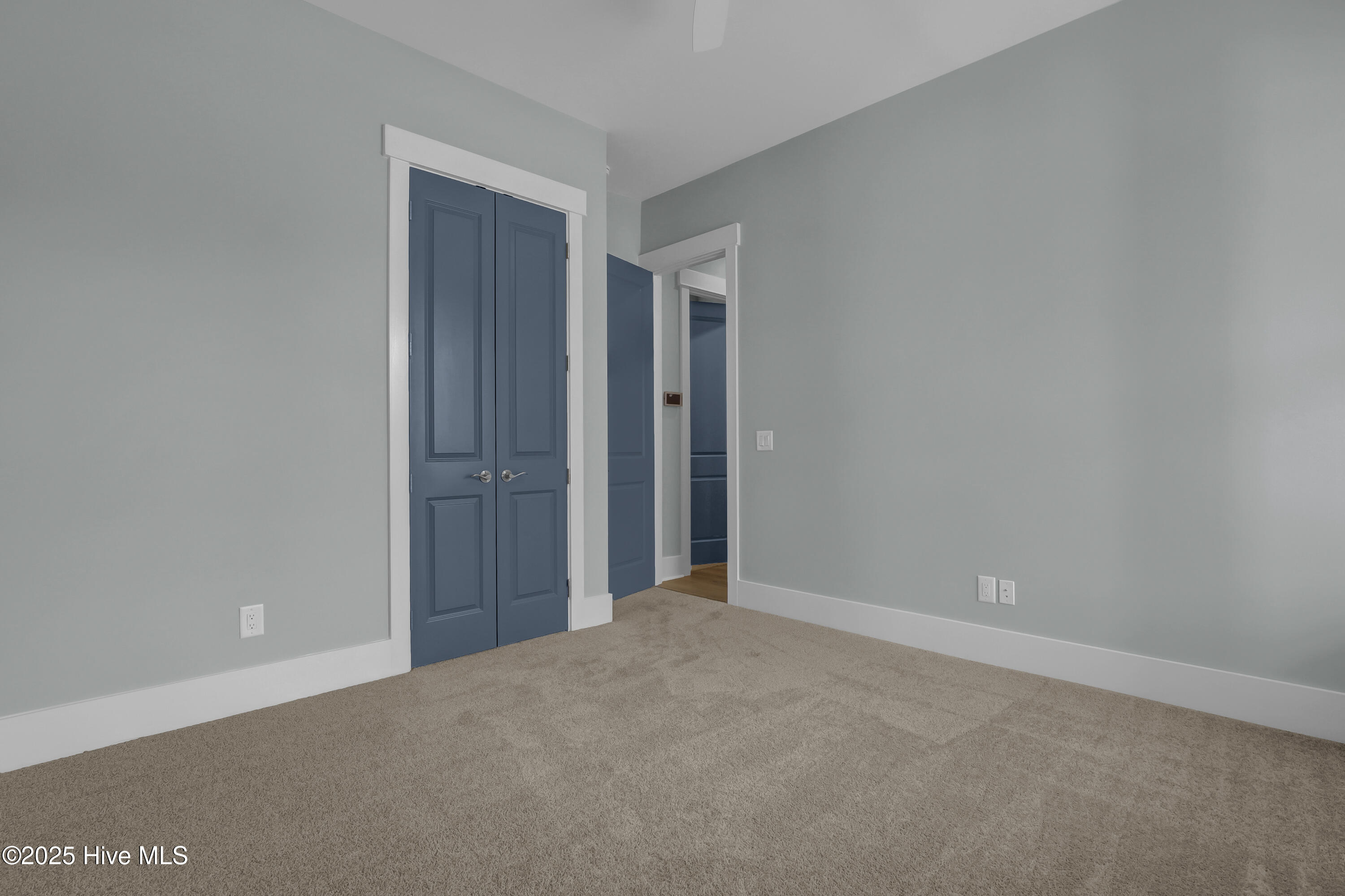 813 Sweetgrass Street Holly Ridge, NC 28445 - Photo 39 of 87 Painted doors