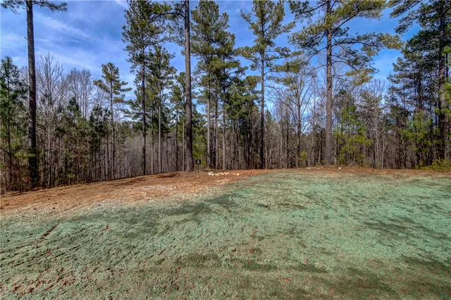$100,000 | Lot 1 Grays Peak Drive, Salem, SC 29676