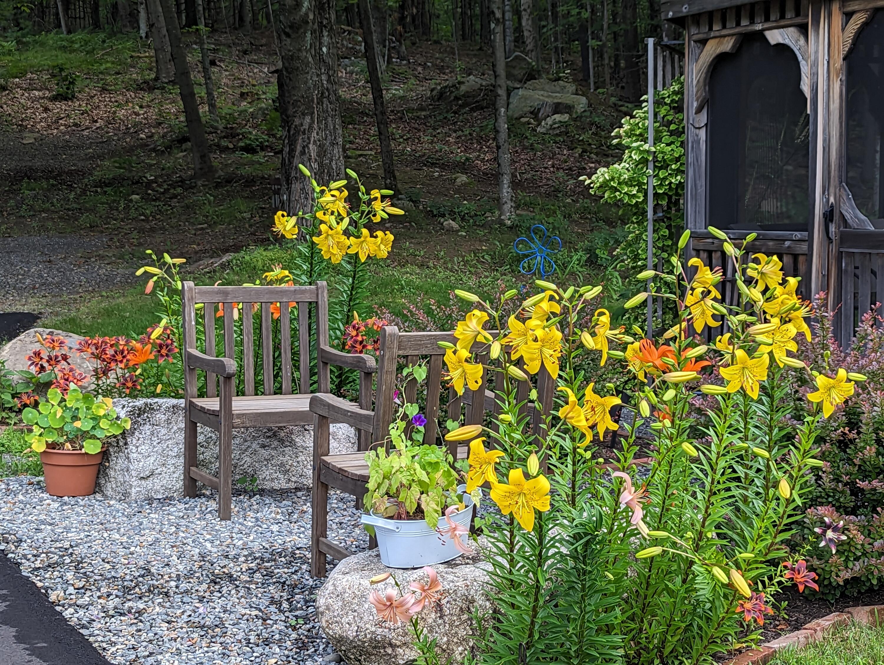 189 Pinnacle Road Canaan, ME 04924 - Photo 12 of 69 13 Beautiful flowers all summer long
