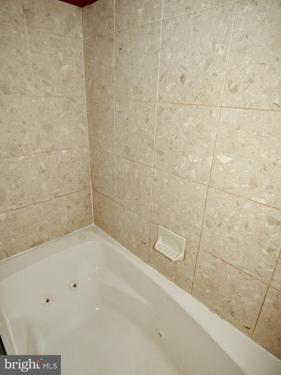 135 Ridgeland Road Wilmington, DE 19803 - Photo 17 of 22 Jetted Tub/Shower Combo