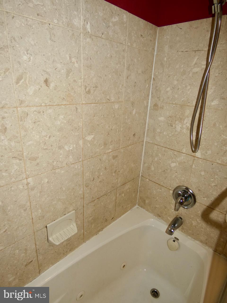 135 Ridgeland Road Wilmington, DE 19803 - Photo 18 of 22 Jetted Tub/Shower Combo