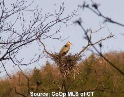 0 South Kent Kent, CT 06757 - Photo 1 of 1