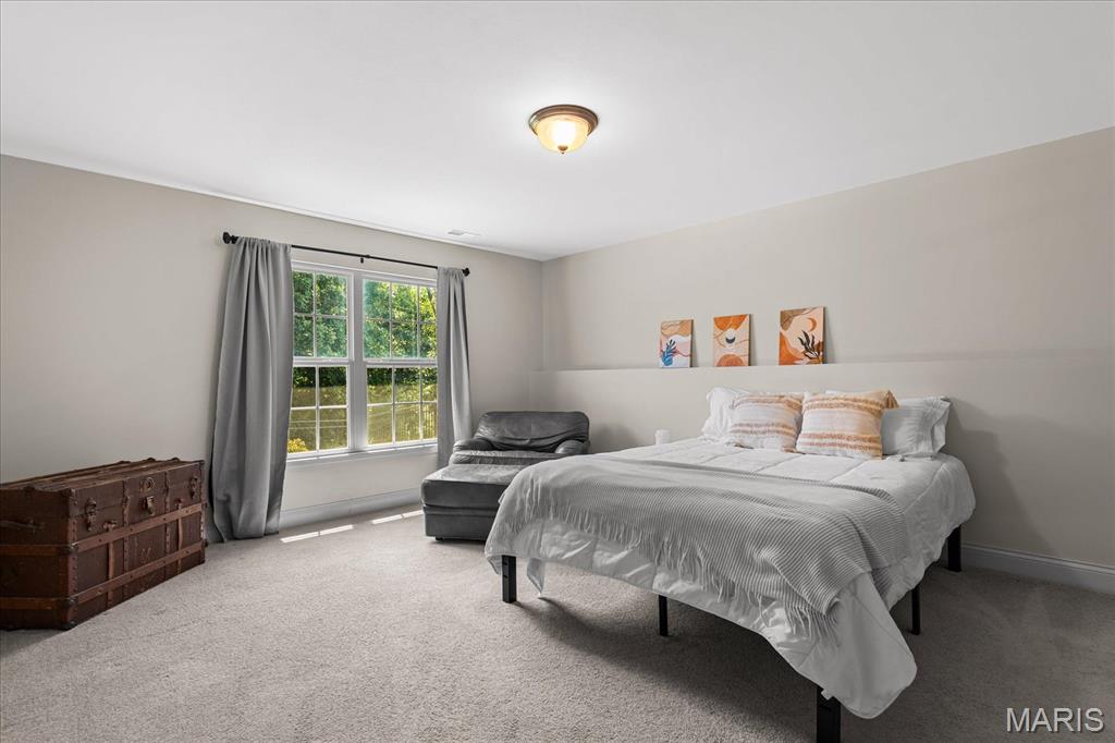 804 Autumn Rise Lane Columbia, IL 62236 - Photo 38 of 61 Gallery Image 38