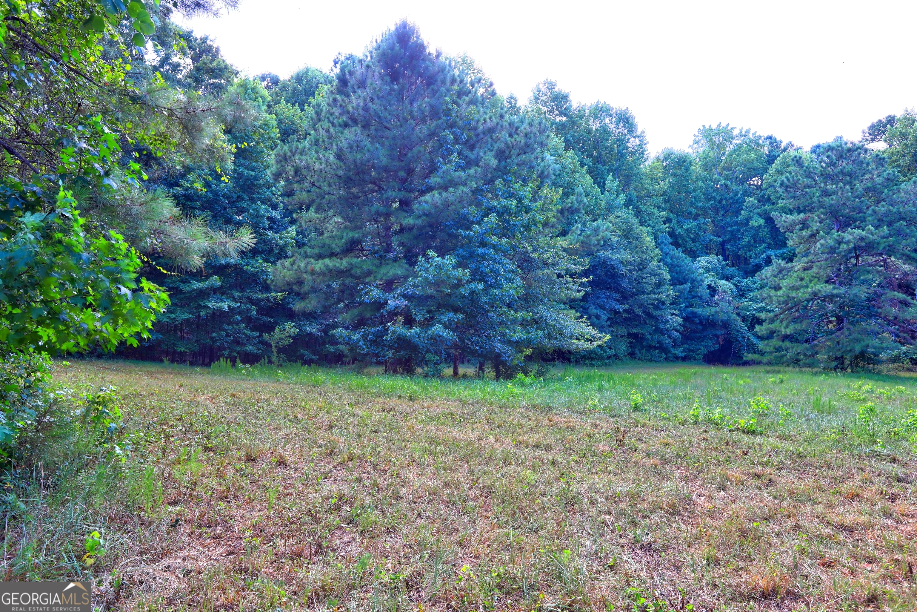 0 New Hope Church Road Loganville, GA 30052 - Photo 12 of 33 a view of a yard with a tree