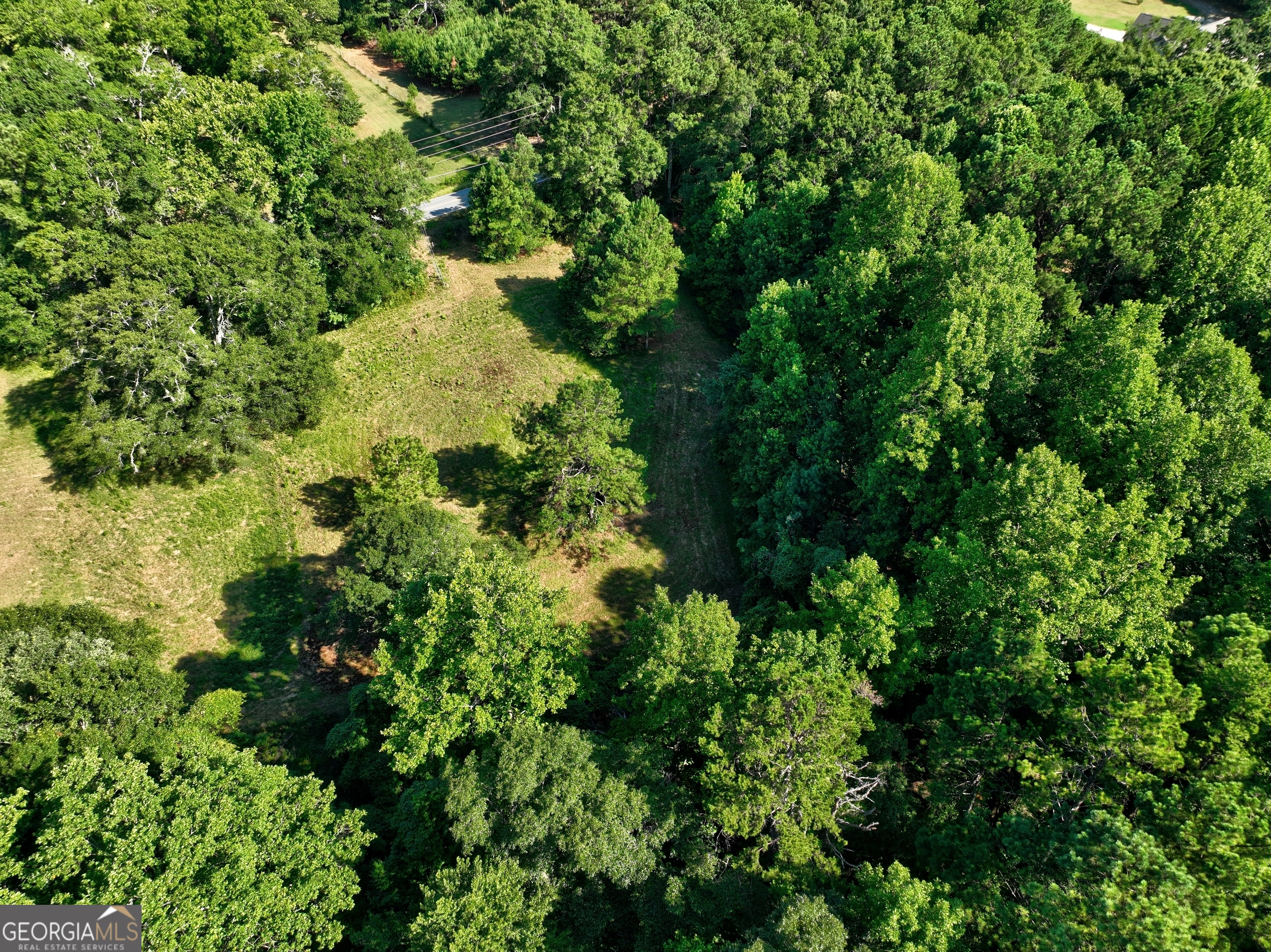 0 New Hope Church Road Loganville, GA 30052 - Photo 13 of 33 a view of a garden with plants