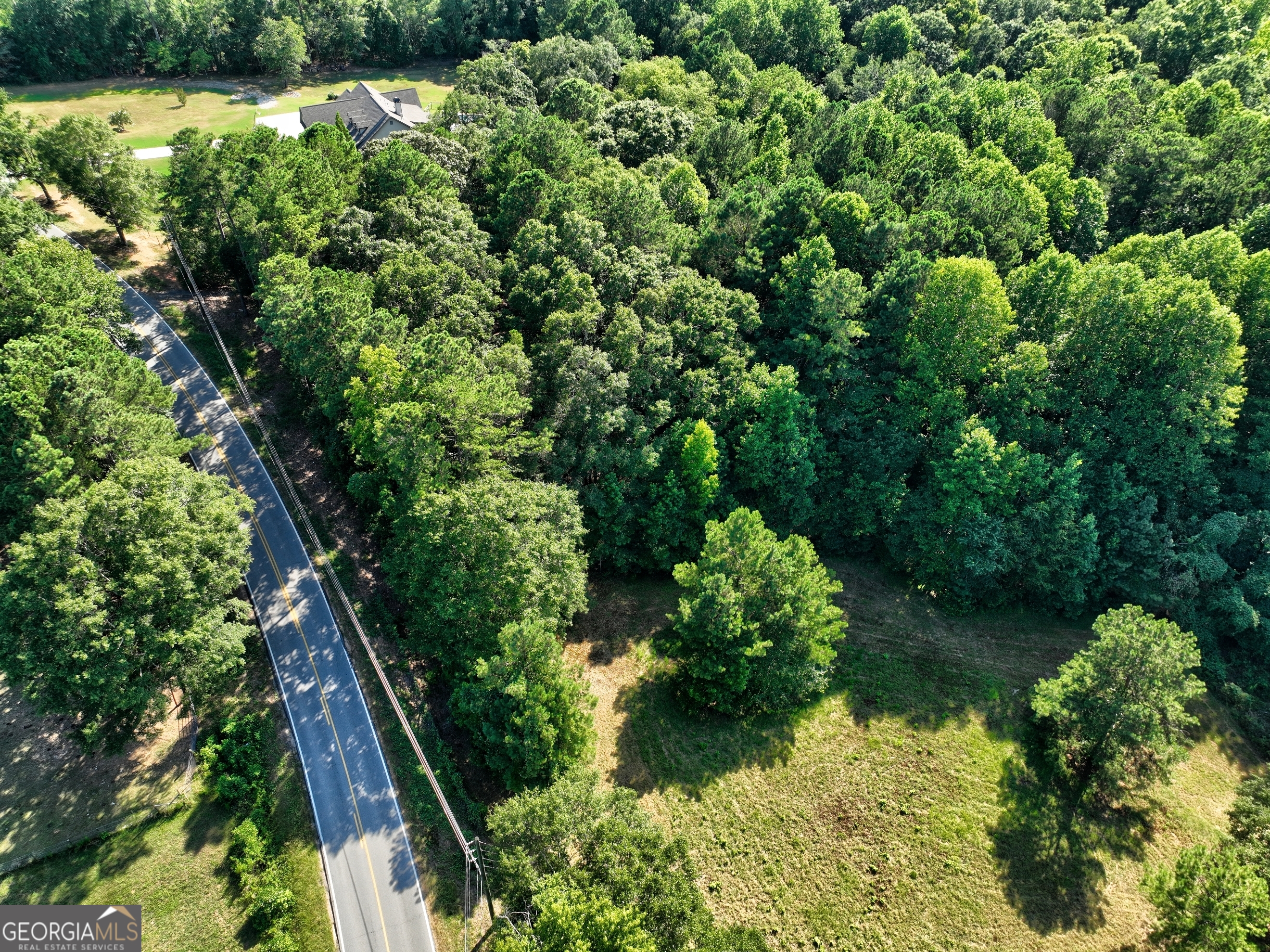 0 New Hope Church Road Loganville, GA 30052 - Photo 14 of 33 a view of a garden with plants