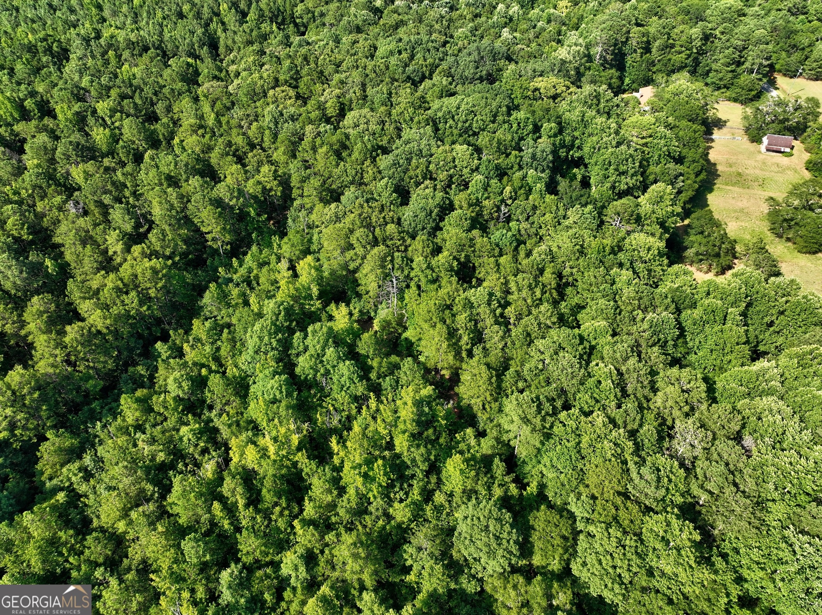 0 New Hope Church Road Loganville, GA 30052 - Photo 21 of 33 a view of a lush green field