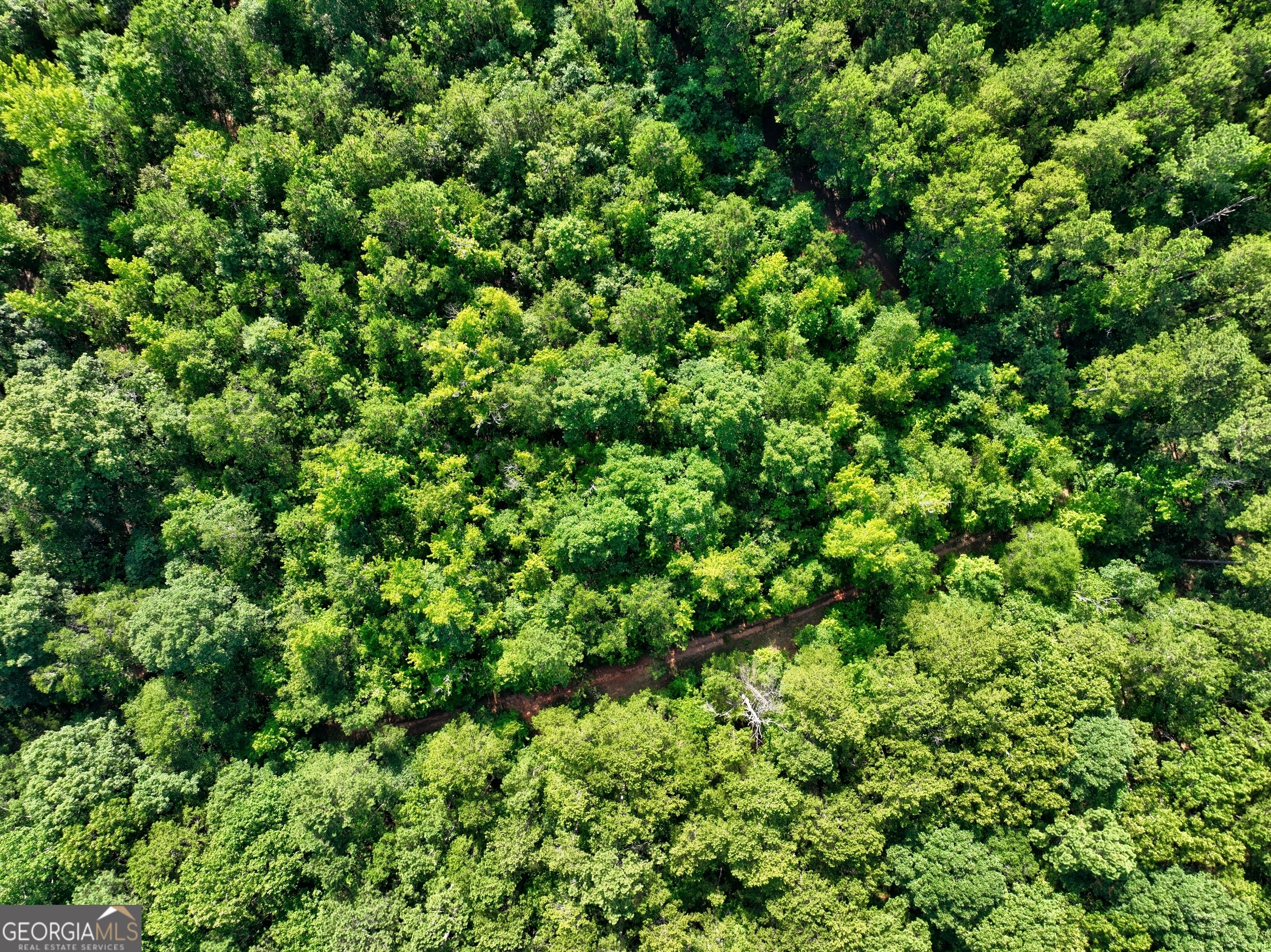 0 New Hope Church Road Loganville, GA 30052 - Photo 22 of 33 a view of a lush green forest