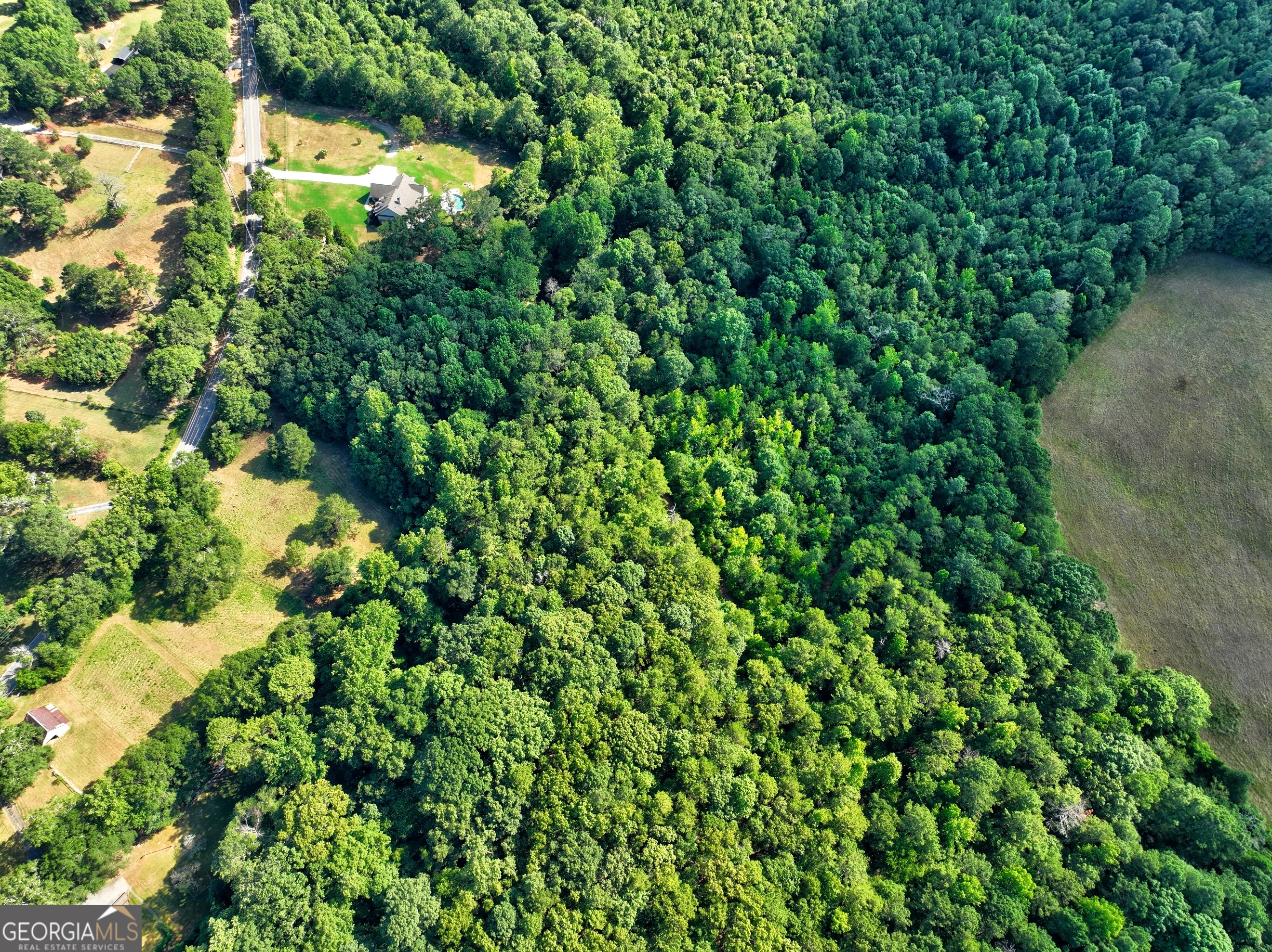 0 New Hope Church Road Loganville, GA 30052 - Photo 25 of 33 a backyard of a house with lots of green space