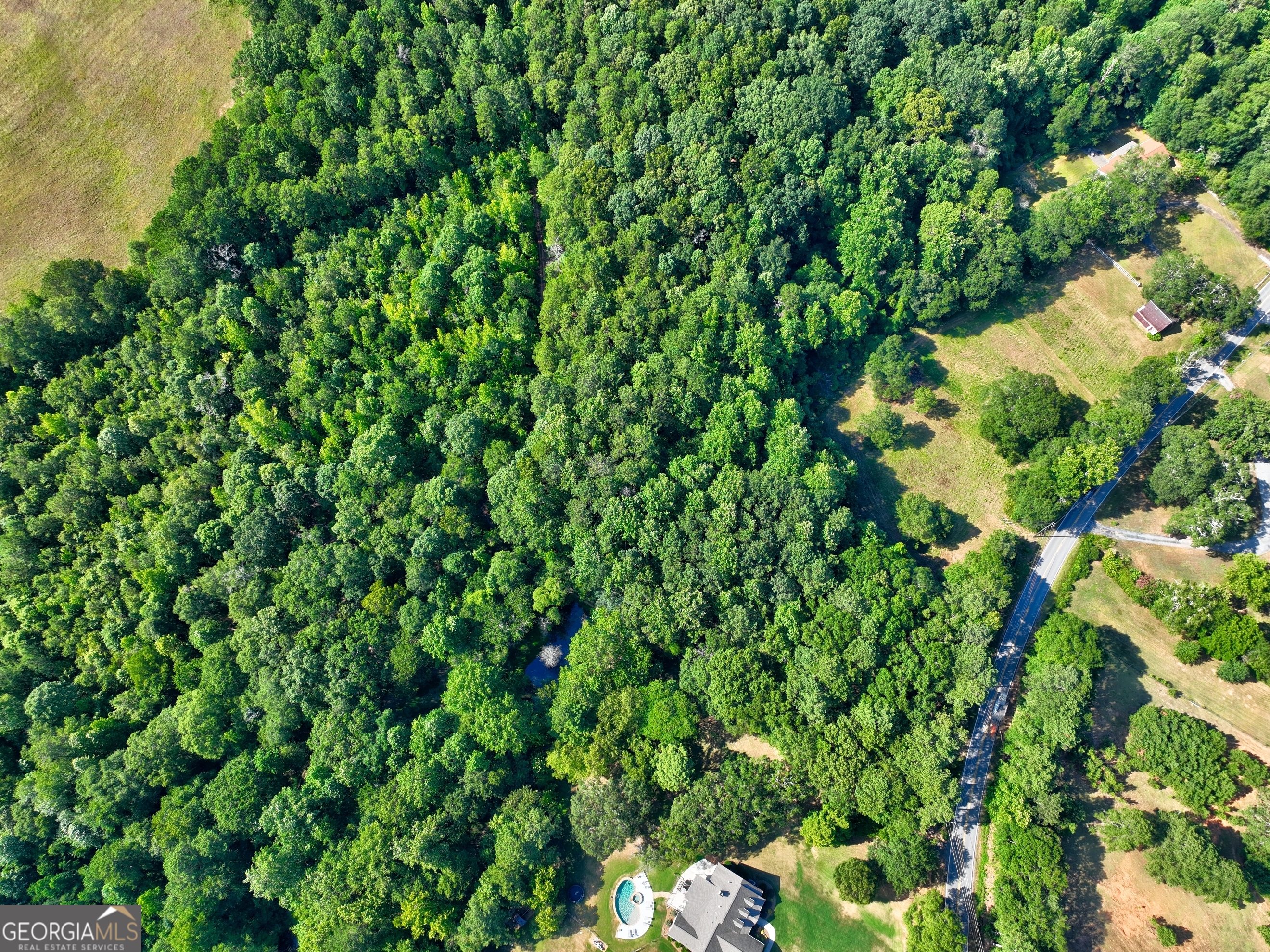 0 New Hope Church Road Loganville, GA 30052 - Photo 29 of 33 a backyard of a house with lots of plants