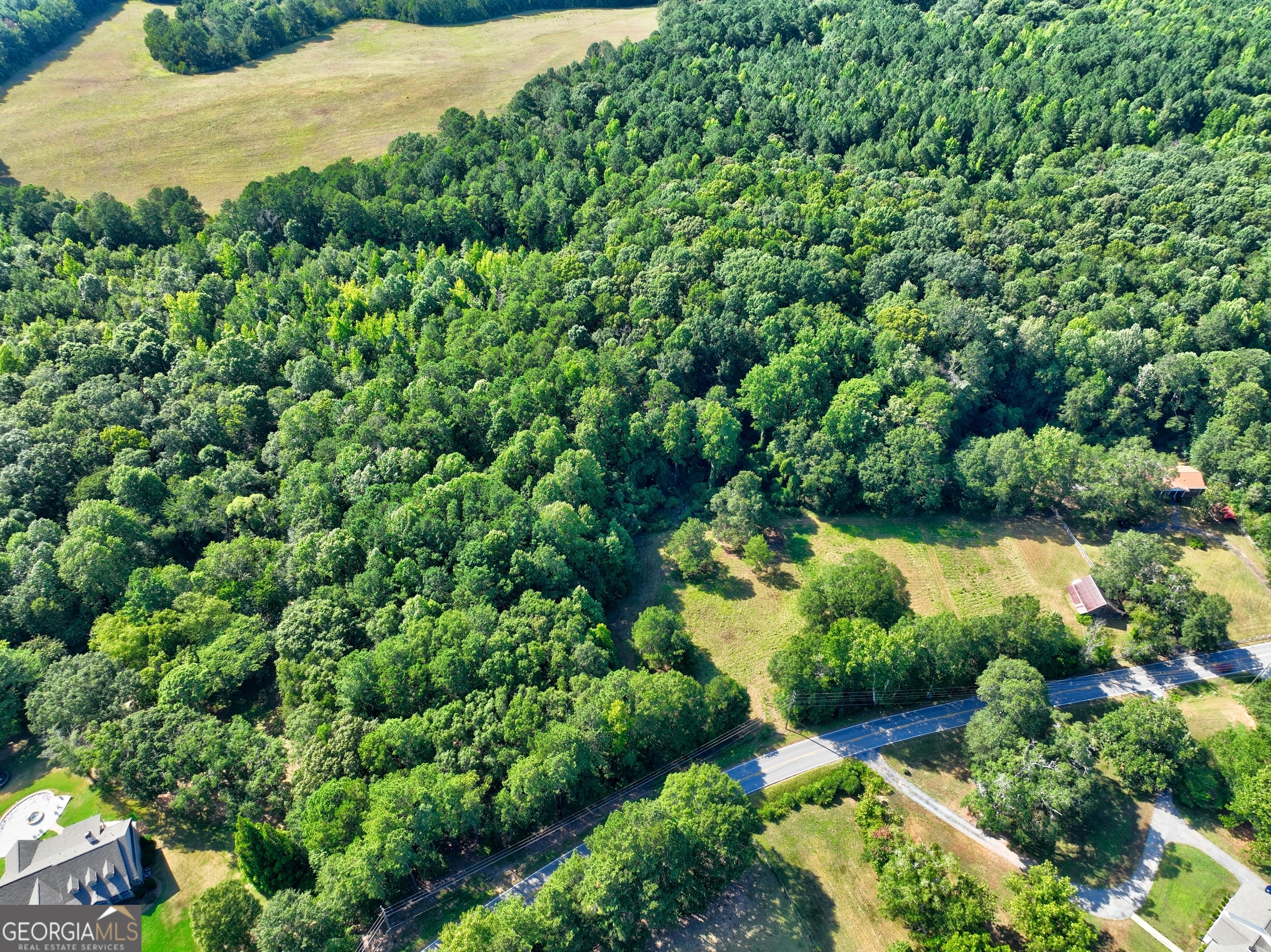 0 New Hope Church Road Loganville, GA 30052 - Photo 31 of 33 a view of a garden with plants