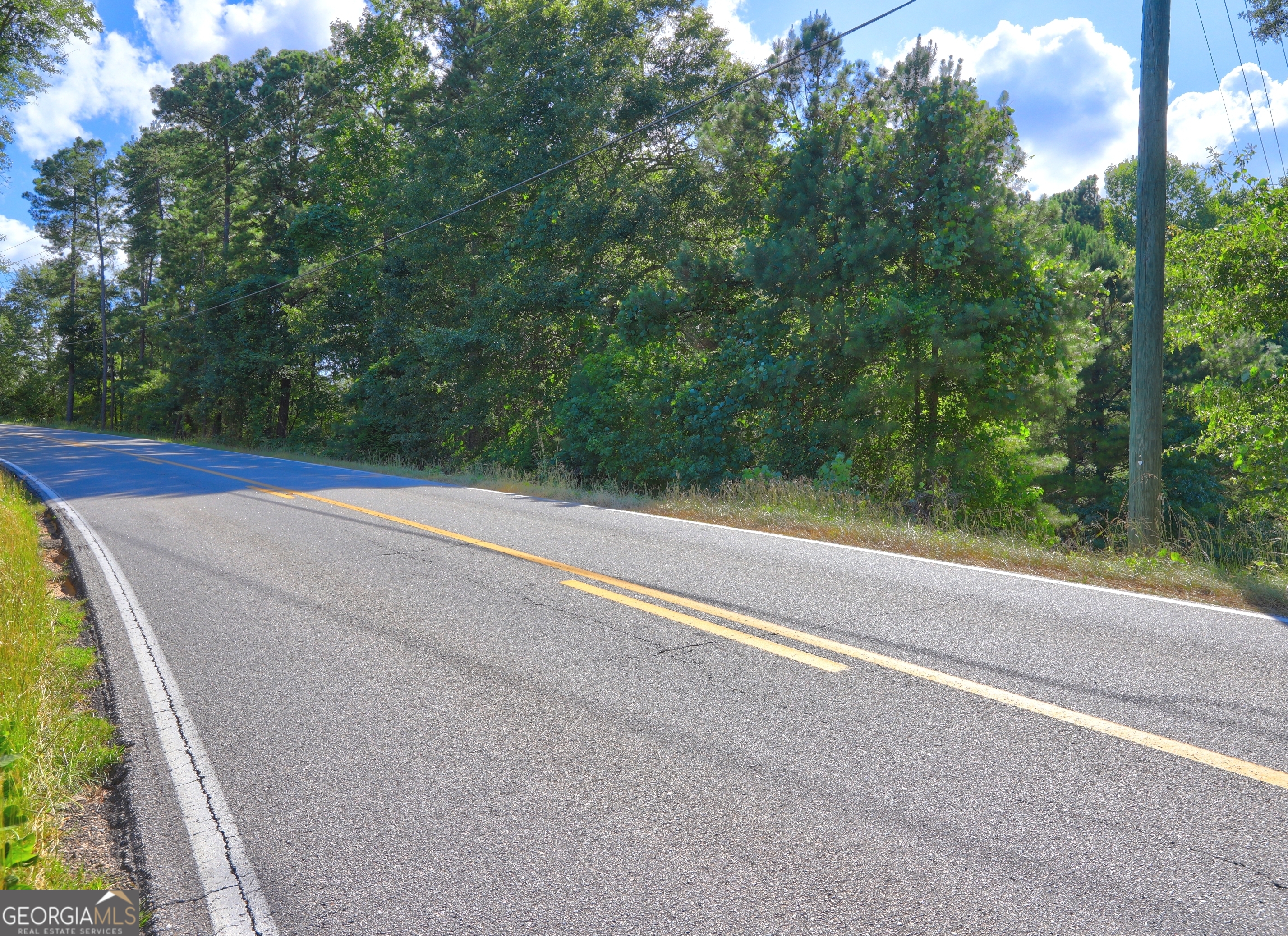 0 New Hope Church Road Loganville, GA 30052 - Photo 32 of 33 a view of a yard with a trees