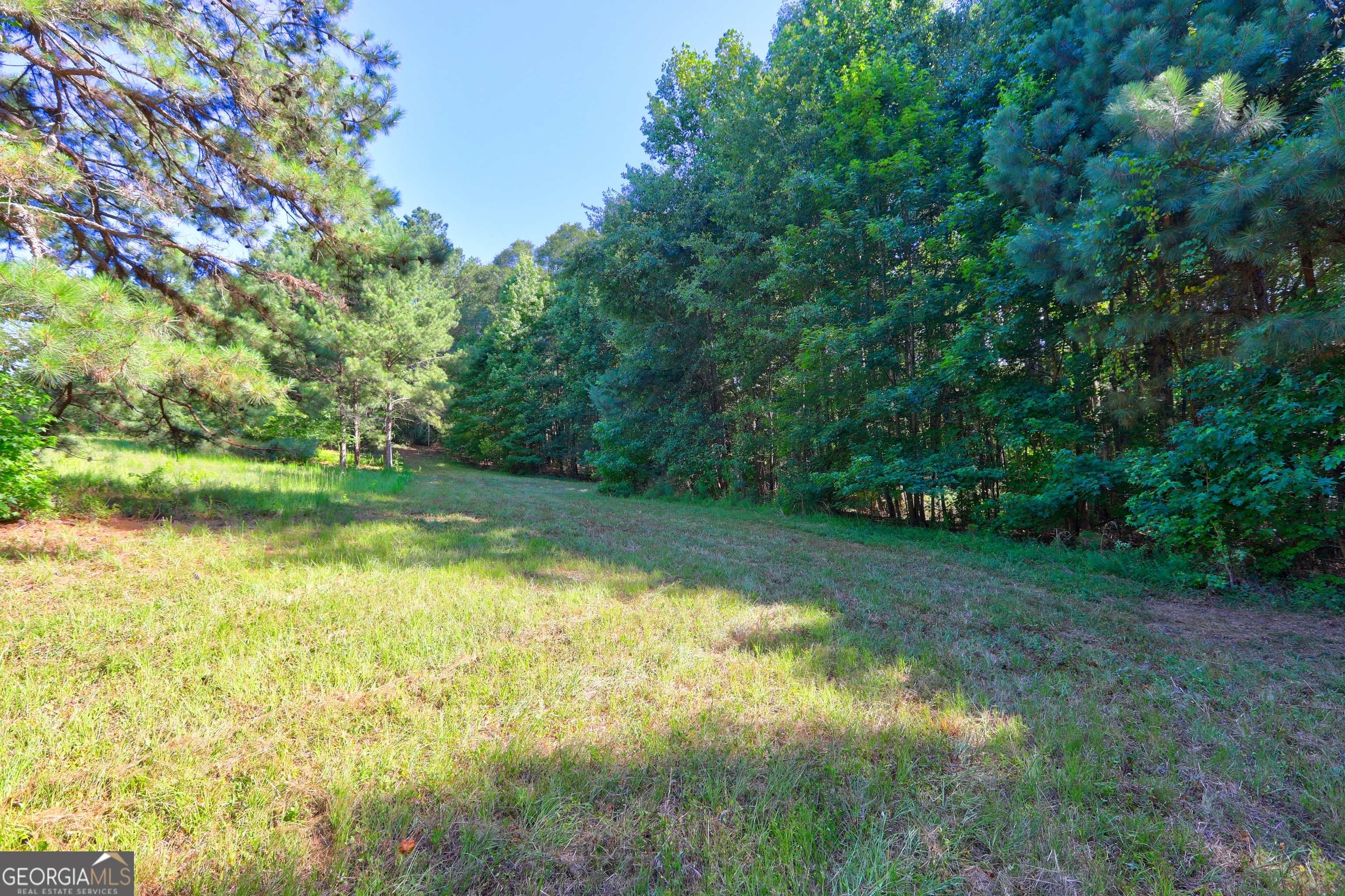 0 New Hope Church Road Loganville, GA 30052 - Photo 4 of 33 a view of a lake view