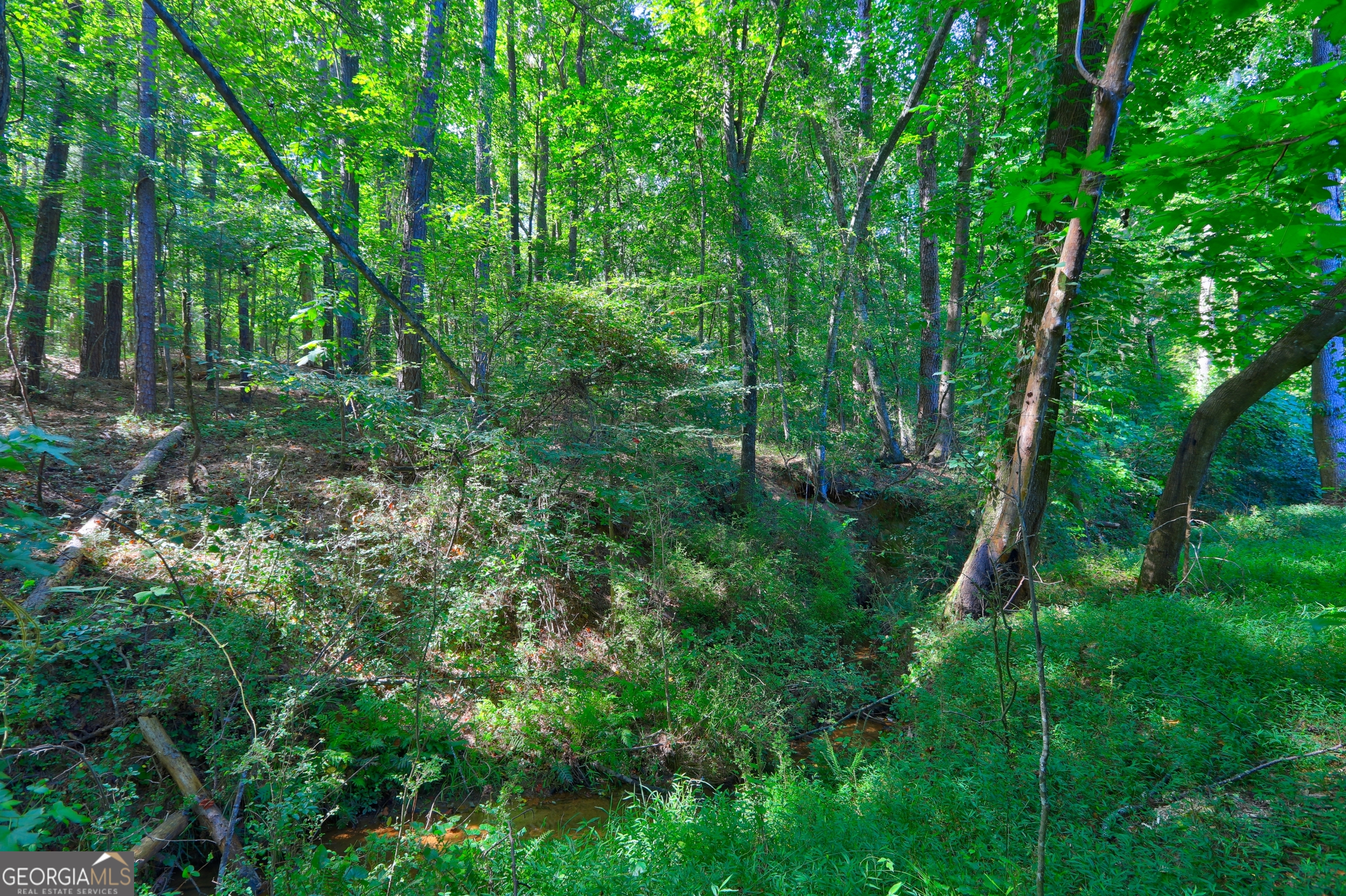 0 New Hope Church Road Loganville, GA 30052 - Photo 5 of 33 a view of a lush green forest