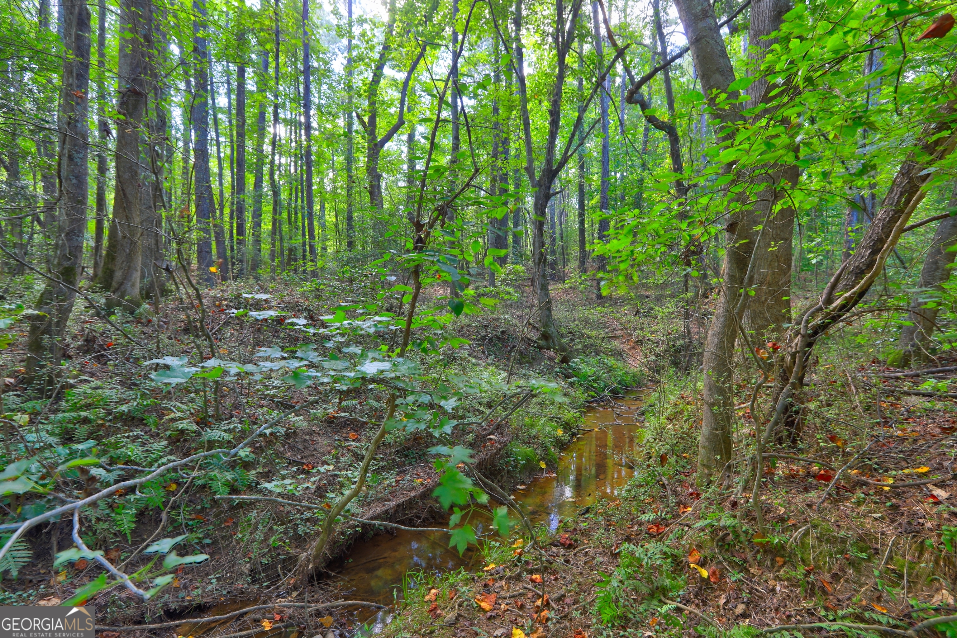 0 New Hope Church Road Loganville, GA 30052 - Photo 7 of 33 a view of a lush green forest