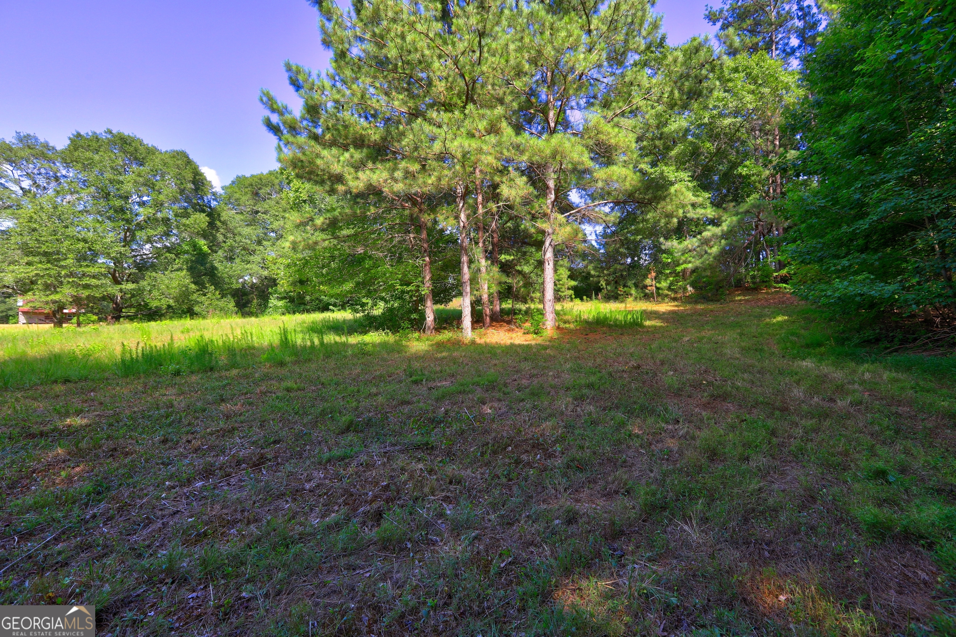 0 New Hope Church Road Loganville, GA 30052 - Photo 10 of 33 a view of a big yard with plants and large trees