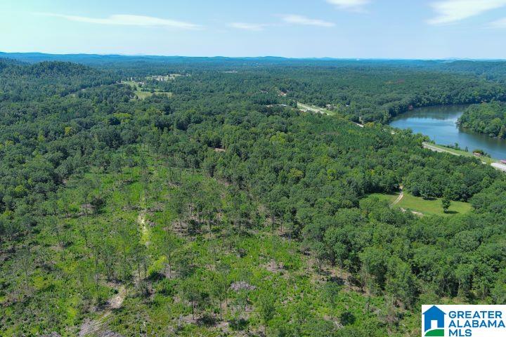 209 Harts Ferry Road, Unit 3 Ohatchee, AL 36271 - Photo 12 of 24