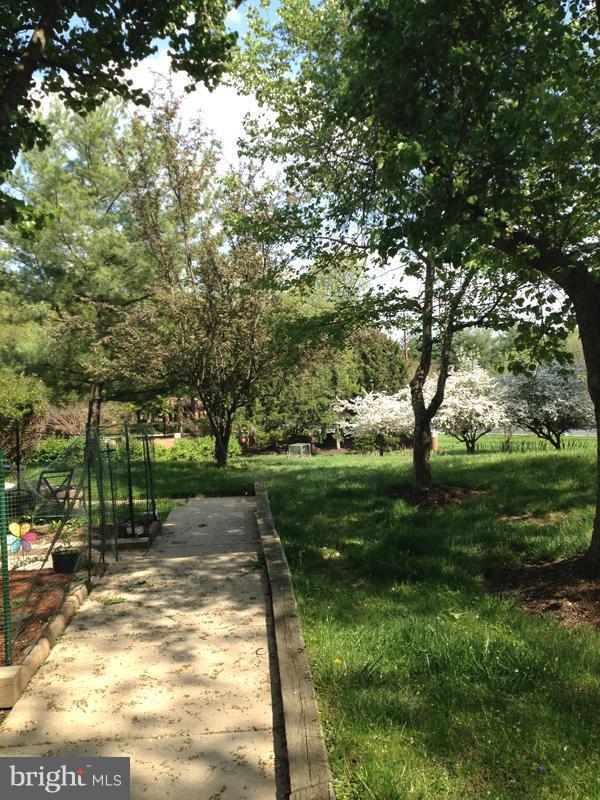 1720 Wilcox Lane Silver Spring, MD 20906 - Photo 22 of 27 a view of a yard with plants and trees