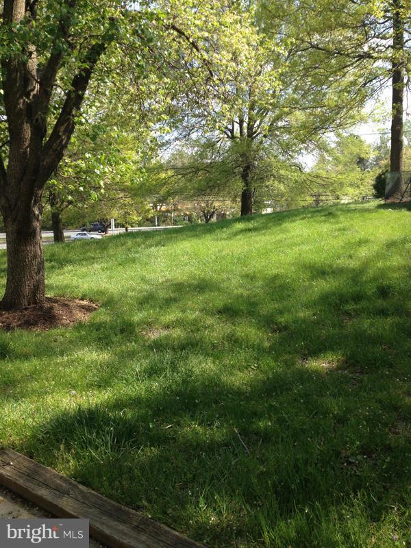1720 Wilcox Lane Silver Spring, MD 20906 - Photo 23 of 27 a view of yard with green space