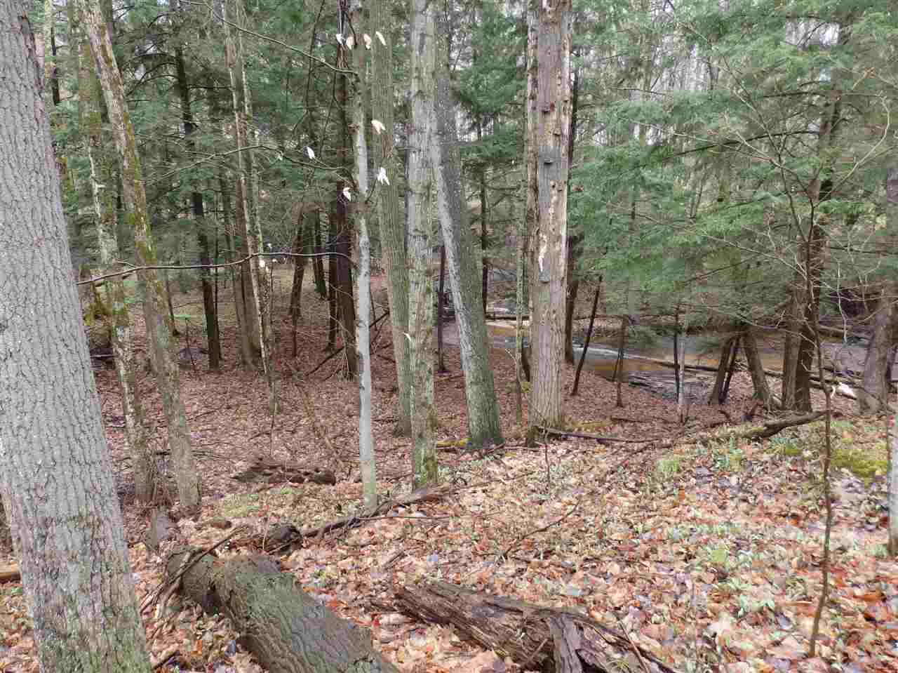 Oravainen Road, Unit PARCEL B Kaleva, MI 49645 - Photo 5 of 25