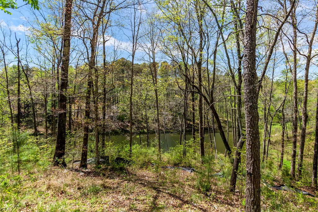 177 R Overlook Drive Ellijay, GA 30540 - Photo 15 of 37 Gallery Image 15