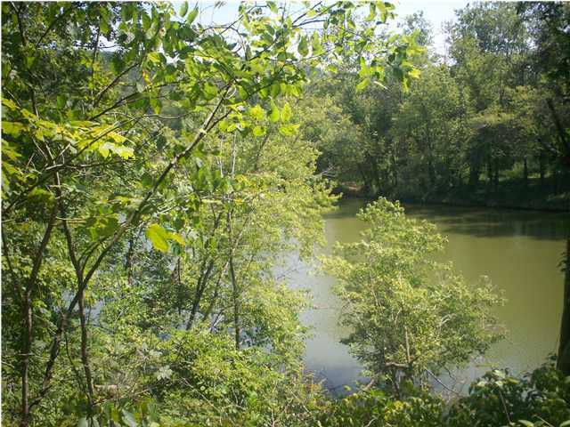 0 Northwest Webb Ford Road Clarkson, KY 42726 - Photo 4 of 4 Additional Photo