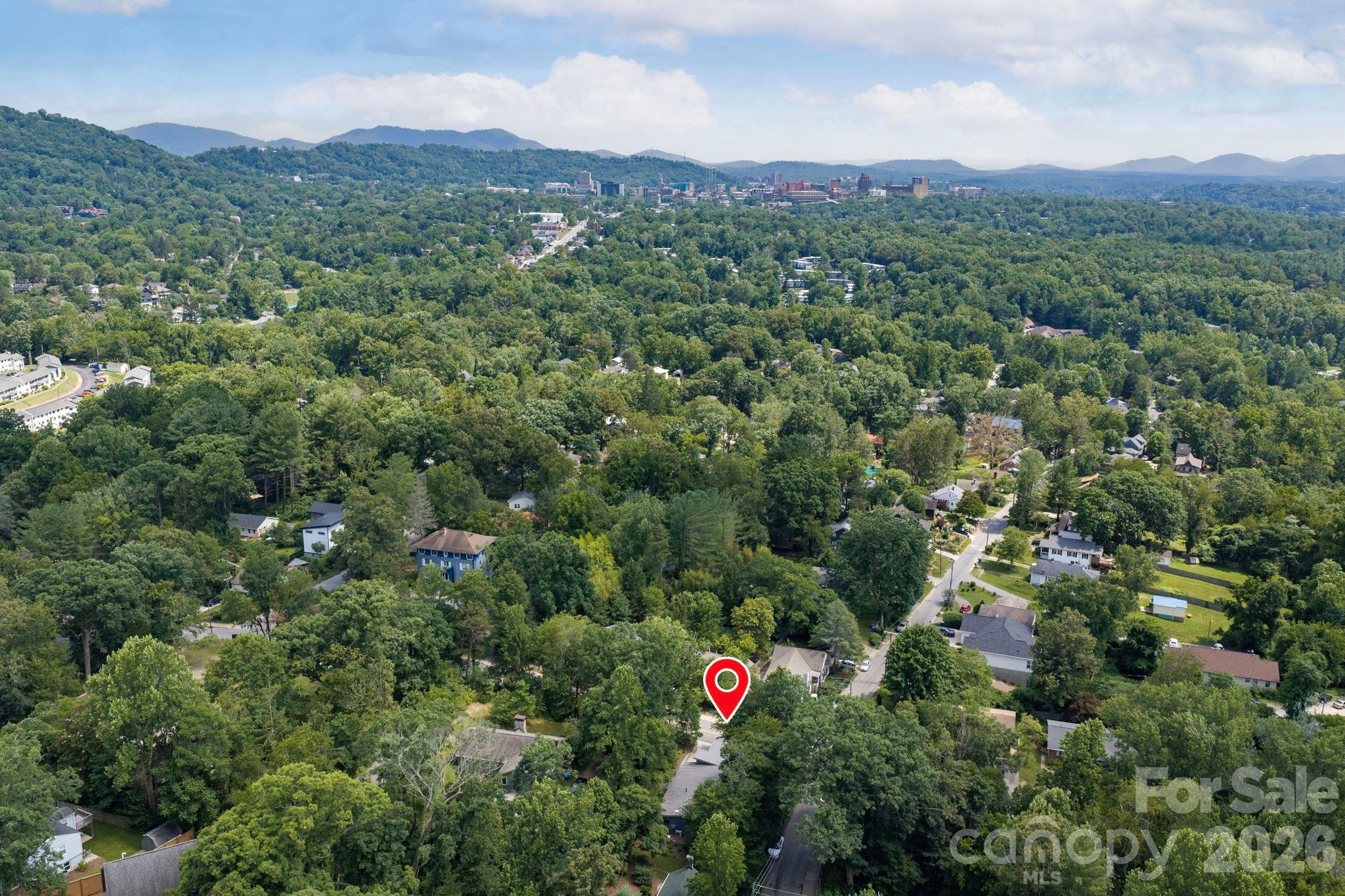 253 Edgewood Road Asheville, NC 28804 - Photo 3 of 38