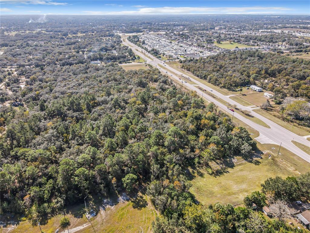 0 Little Road Hudson, FL 34667 - Photo 13 of 13