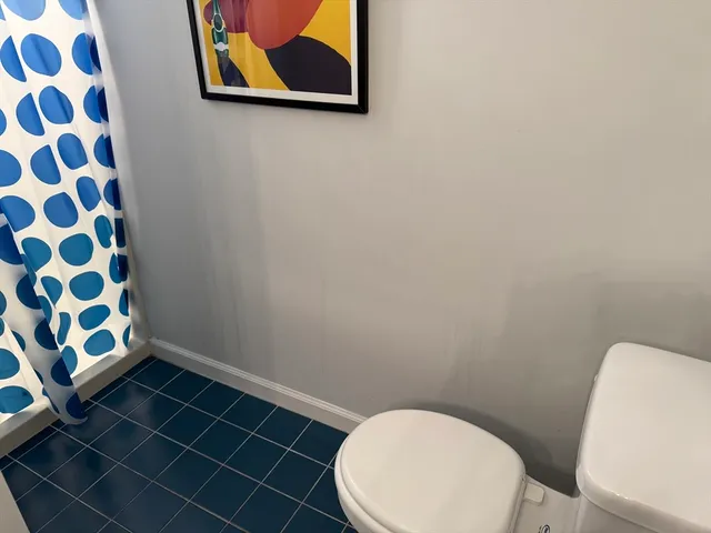 a bathroom with a toilet and a shower curtain