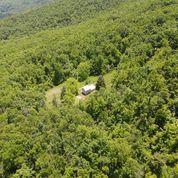 6711 Jingling Rocks Road Covington, VA 24426 - Photo 5 of 19 Peters Mountain Aeiral of home 2