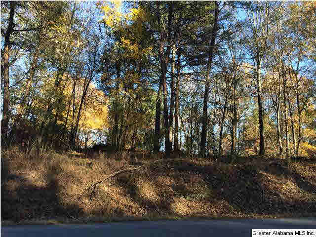 Sharon Drive, Unit 17 McCalla, AL 35111 - Photo 1 of 14