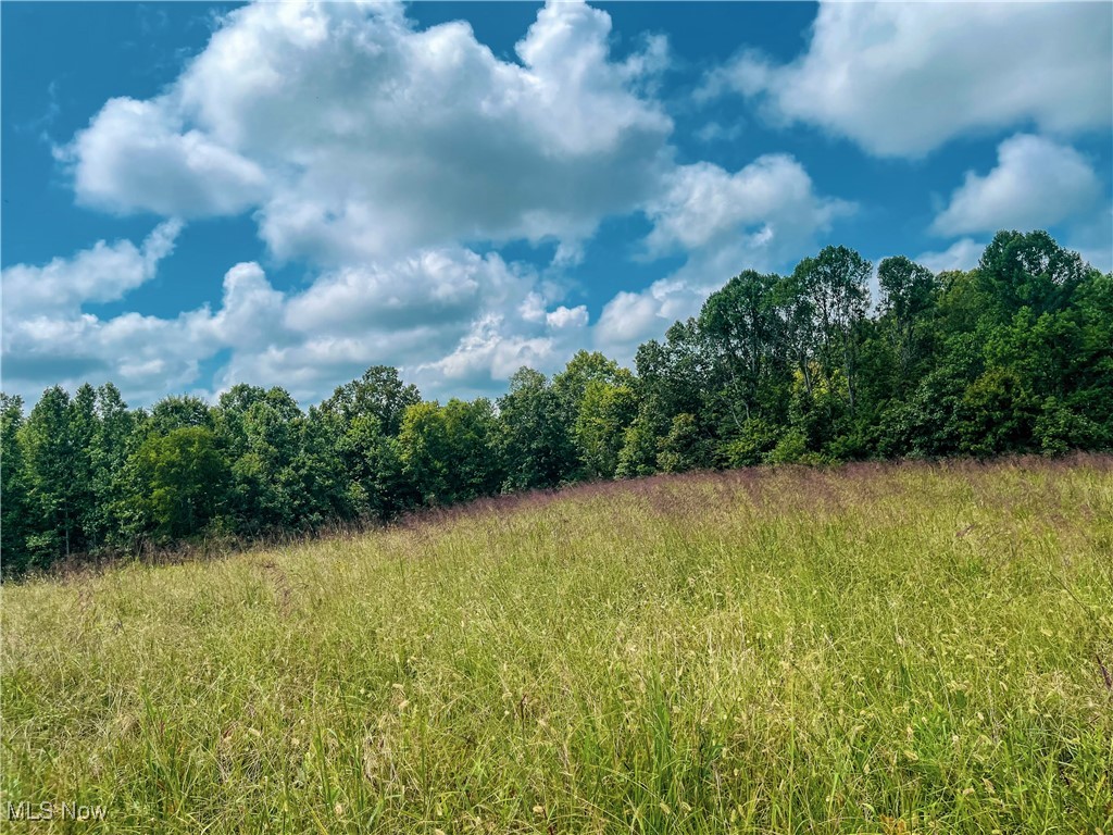 226 Banner Hill Road Spencer, WV 25276 - Photo 11 of 35