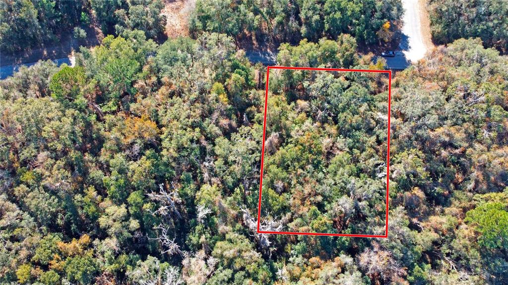 717 East Noah Lane Citrus Springs, FL 34434 - Photo 18 of 23