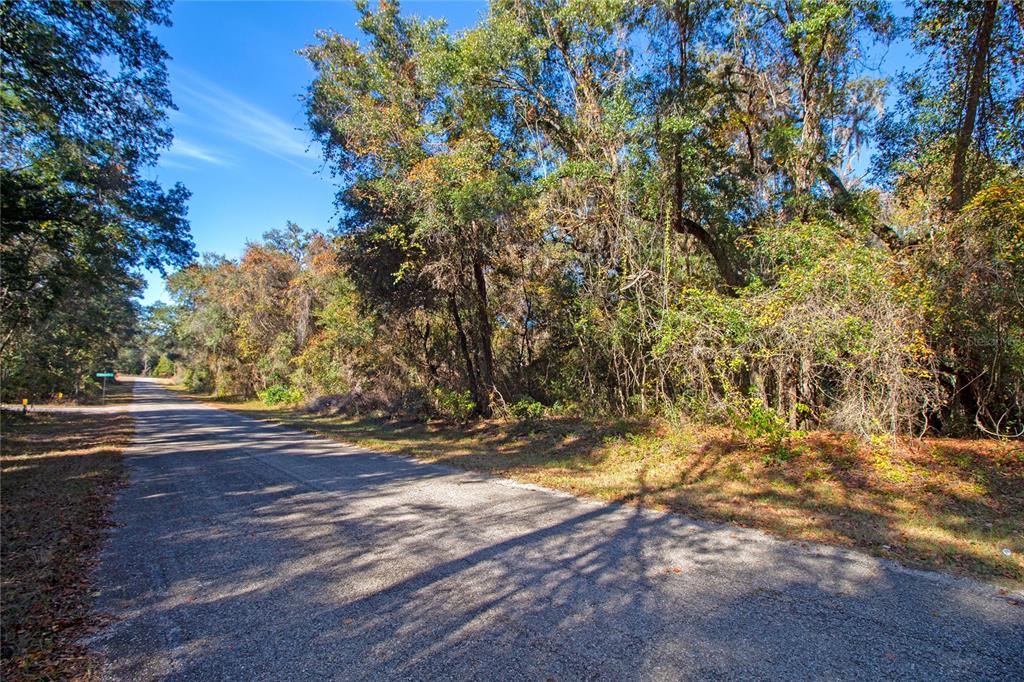 717 East Noah Lane Citrus Springs, FL 34434 - Photo 3 of 23 a view of yard