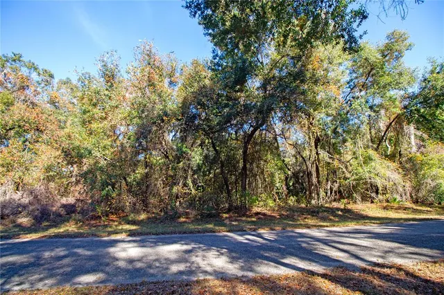 a view of a yard with large trees