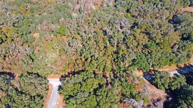 an aerial view of residential house with green space and trees all around