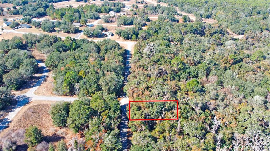 717 East Noah Lane Citrus Springs, FL 34434 - Photo 10 of 23 an aerial view of residential house with green space and trees all around