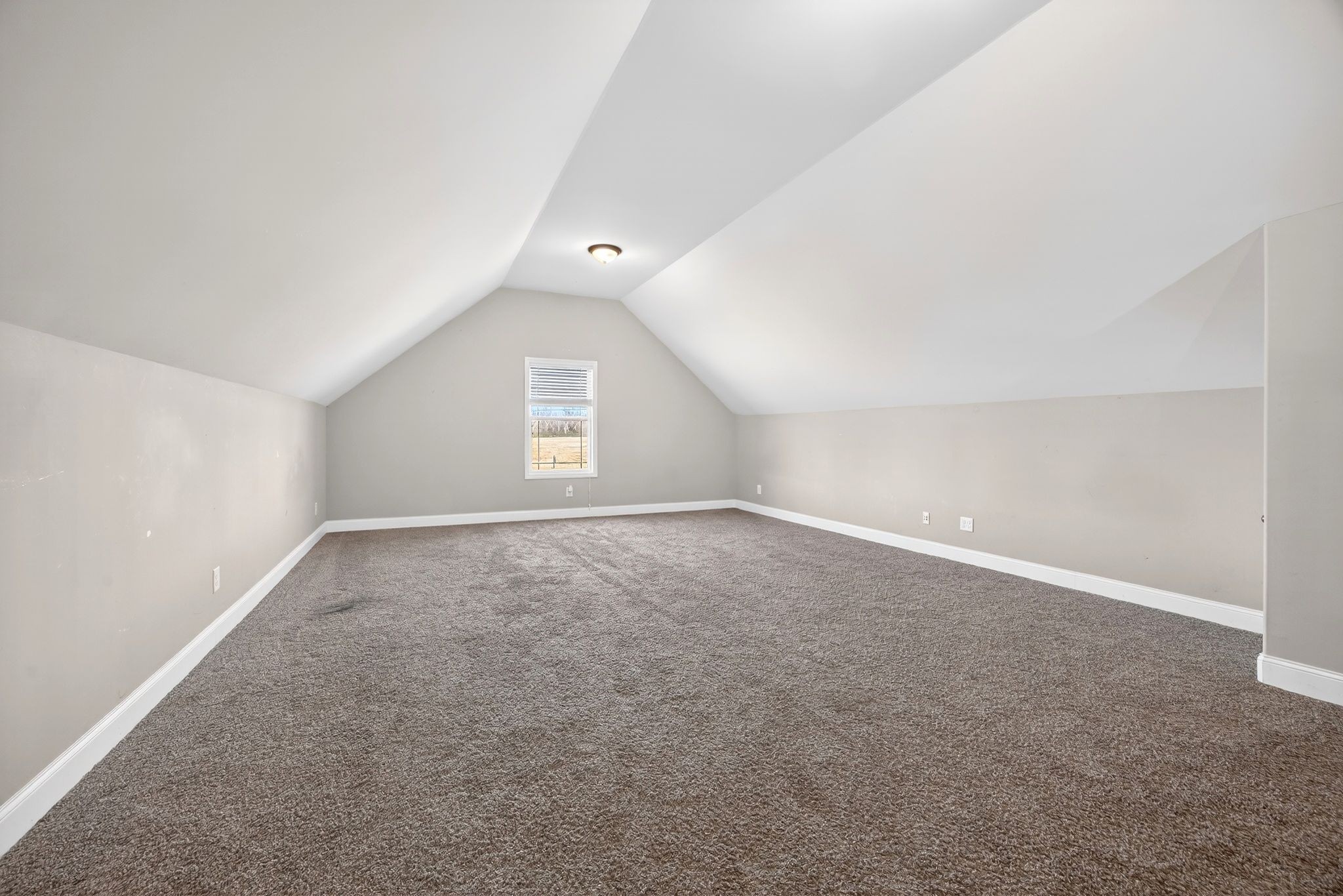 1347 Neil Road Chapel Hill, TN 37034 - Photo 25 of 36 an empty room with a natural light