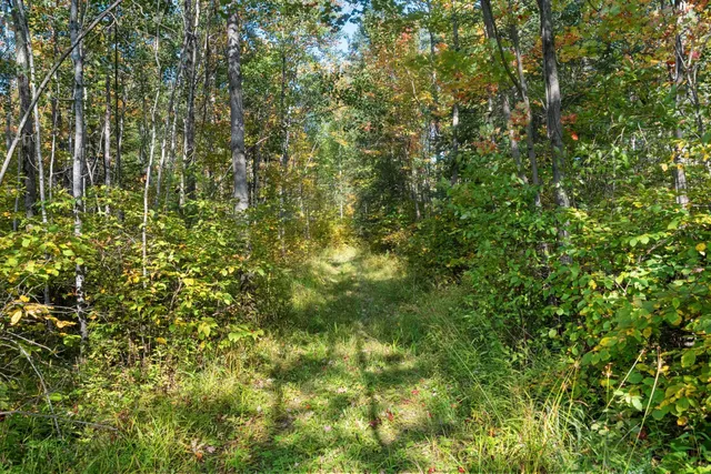 $299,900 | W7456 Coffee Creek Road, Tomahawk, WI 54487