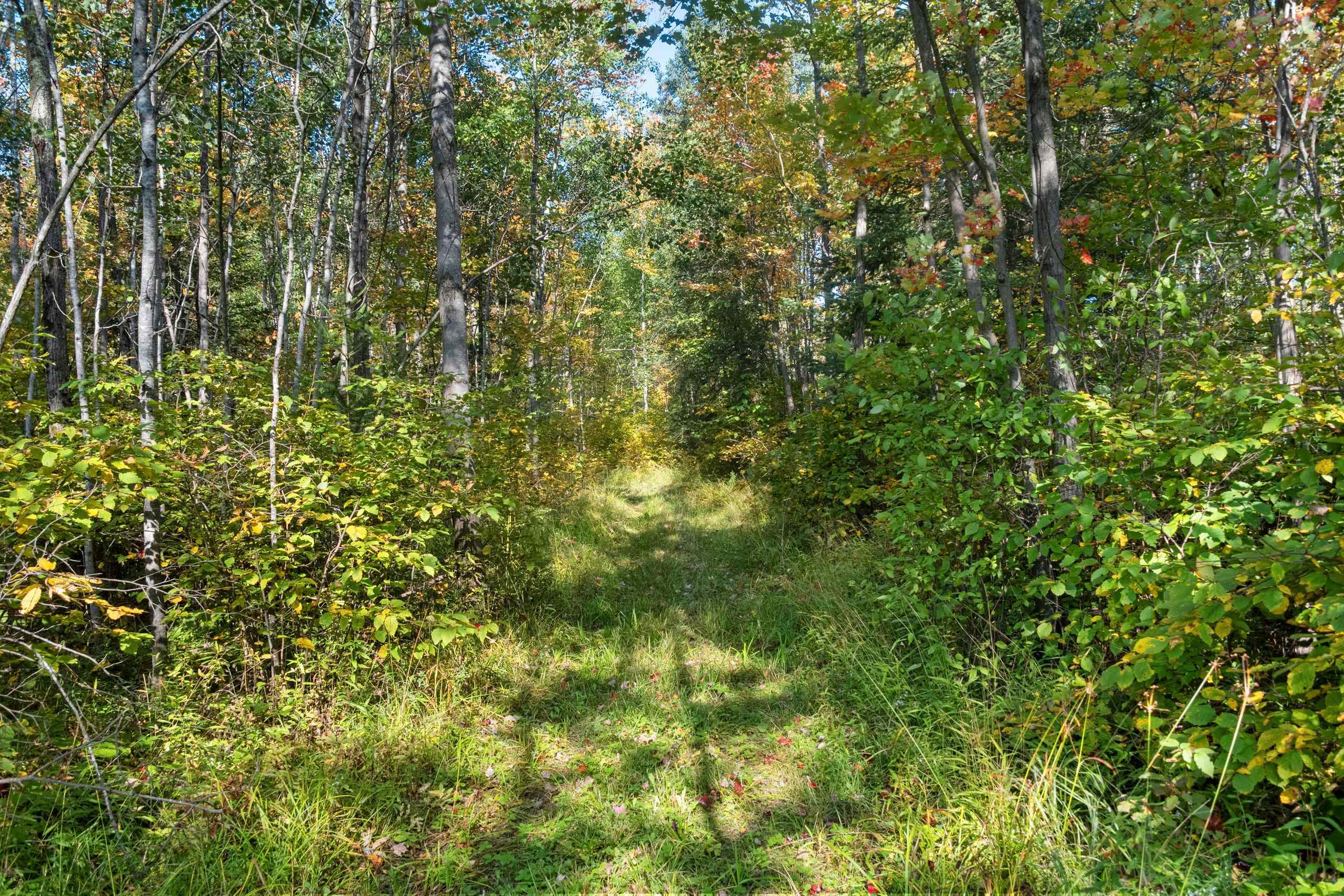W7456 Coffee Creek Road Tomahawk, WI 54487 - Photo 15 of 70